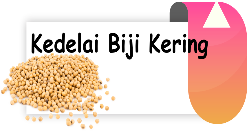 Kedelai Biji Kering