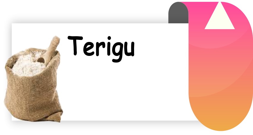Tepung Terigu